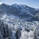 Amarillys Am2 Mountain & Telecabine 4 Pers Appartement