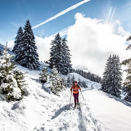 Διαμέρισμα Amarillys Am2 Mountain & Telecabine 4 Pers Châtel