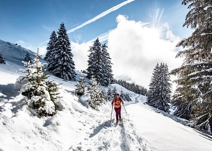 Apartament Amarillys Am2 Mountain & Telecabine 4 Pers Châtel