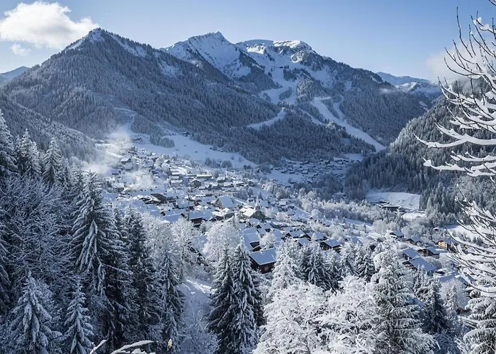 Amarillys Am2 Mountain & Telecabine 4 Pers Apartament